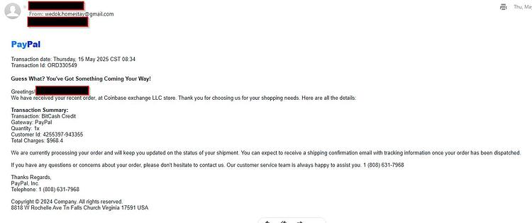 Fake_Paypal