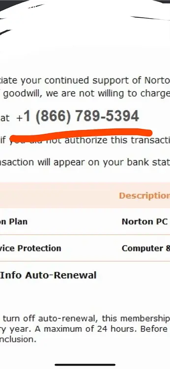 norton-scam-v0-vmlpotdp4avc1