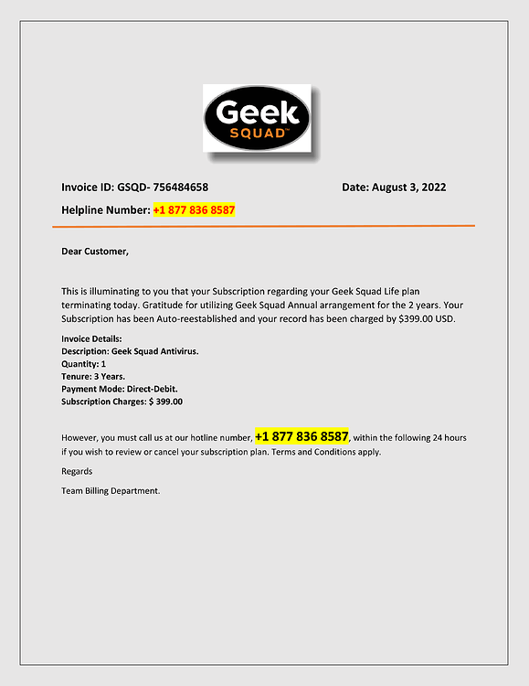 GeekSquad