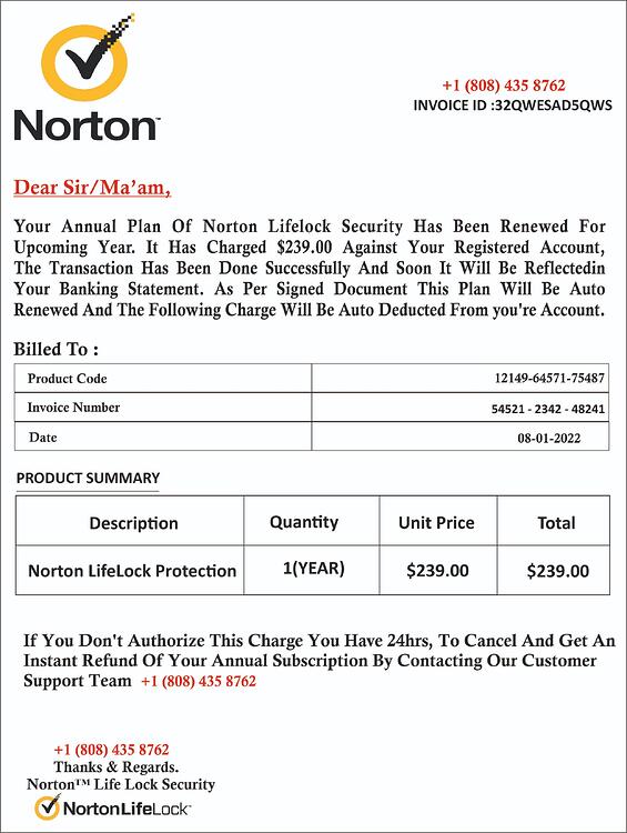 nortonscam2