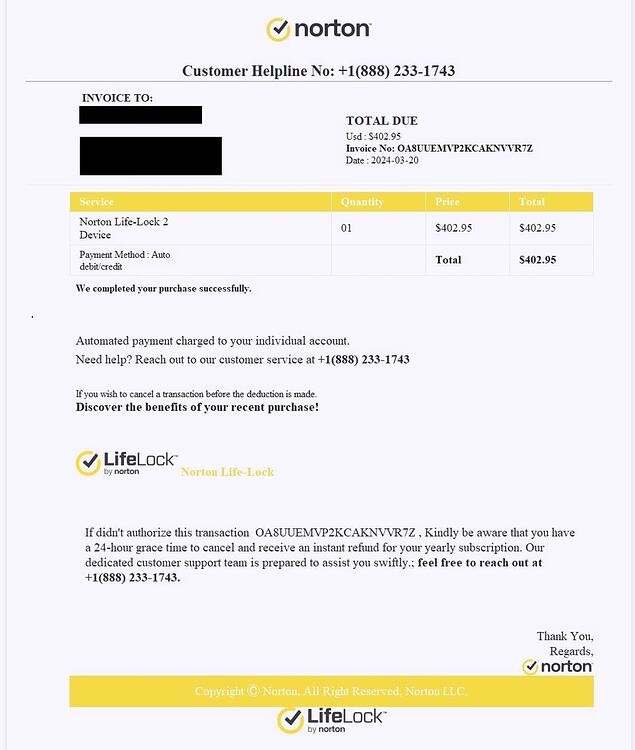 NORTON SCAM
