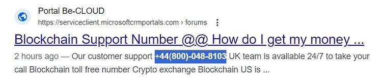 Blockchain Scam