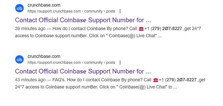 Coinbase Scammer