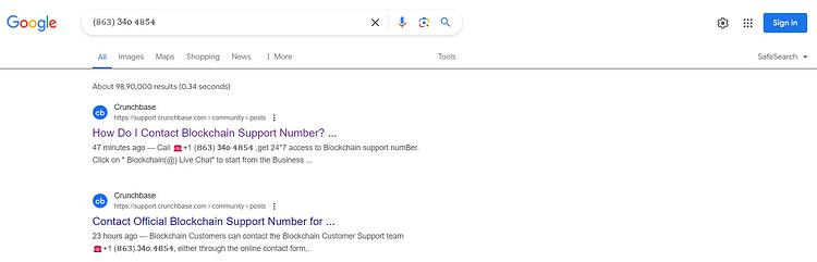 Blockchain Scammer