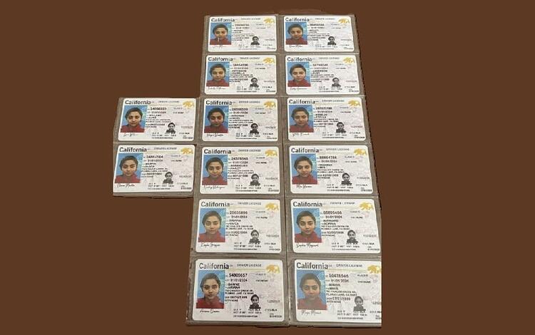 Fake California drivers licenses belonging to Trusha Chaudhary