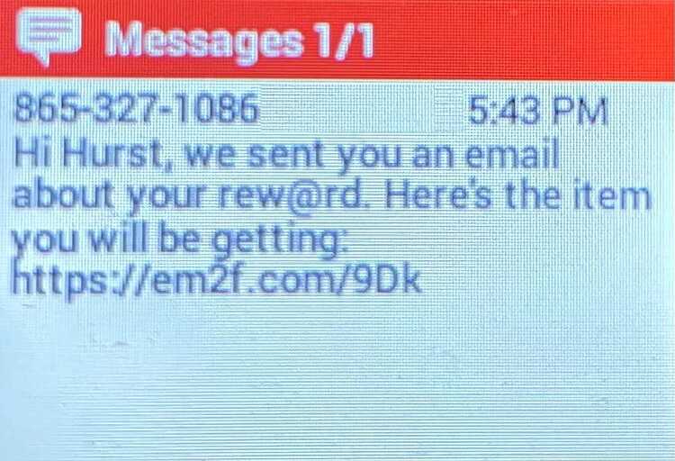 scammer text