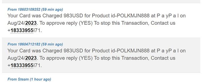 scam0824e