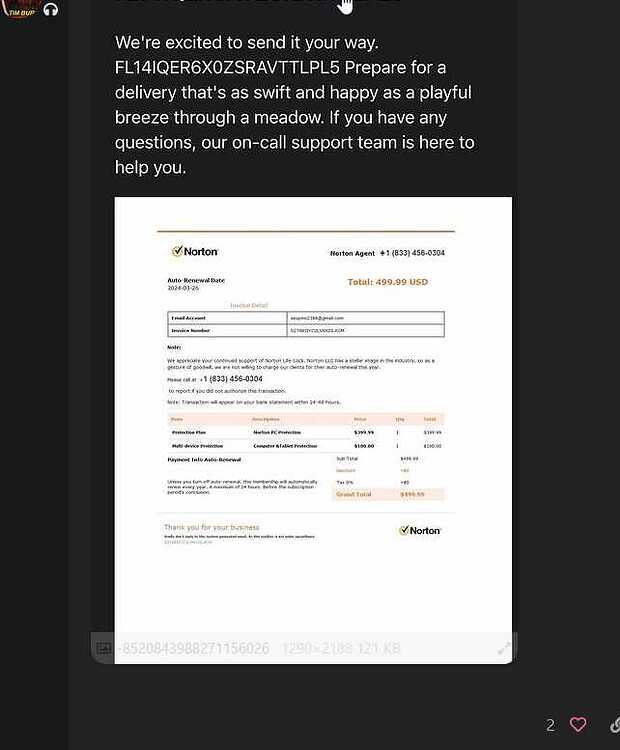 norton1