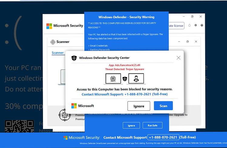 Scammer Site