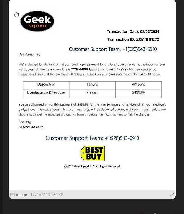 Geek Squad