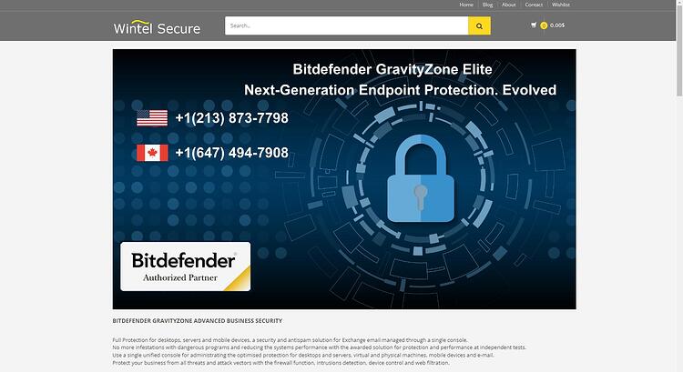 AntiVirus Scam
