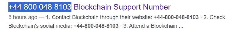 Blockchain scammer