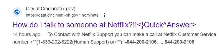 Netflix scam