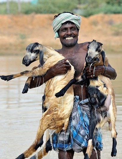 india10jeffrey-3102900