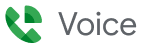 Google Voice